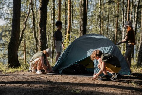 Roteiros de floresta tropical que unem aventura, contato com a vida selvagem e dicas essenciais de segurança para diferentes perfis de viajantes.