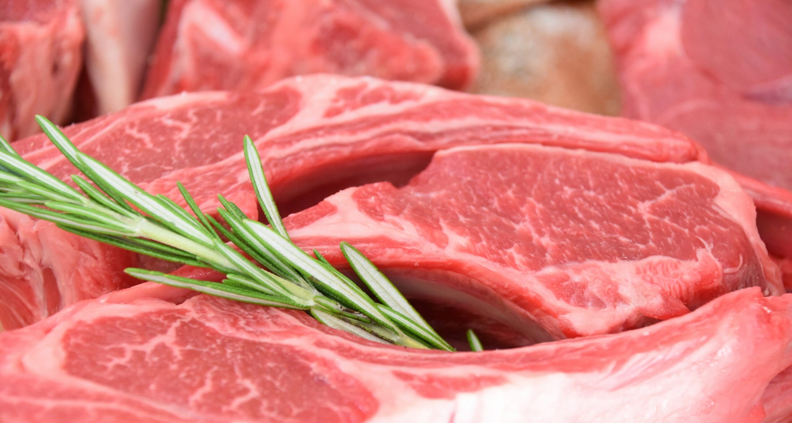 Noruega suspende compra de carne do Brasil em setembro - Imagem do artigo