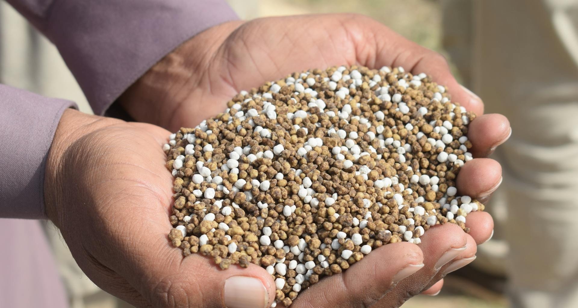 Crédito para fertilizantes: Senado aprova programa sem valor - Imagem do artigo