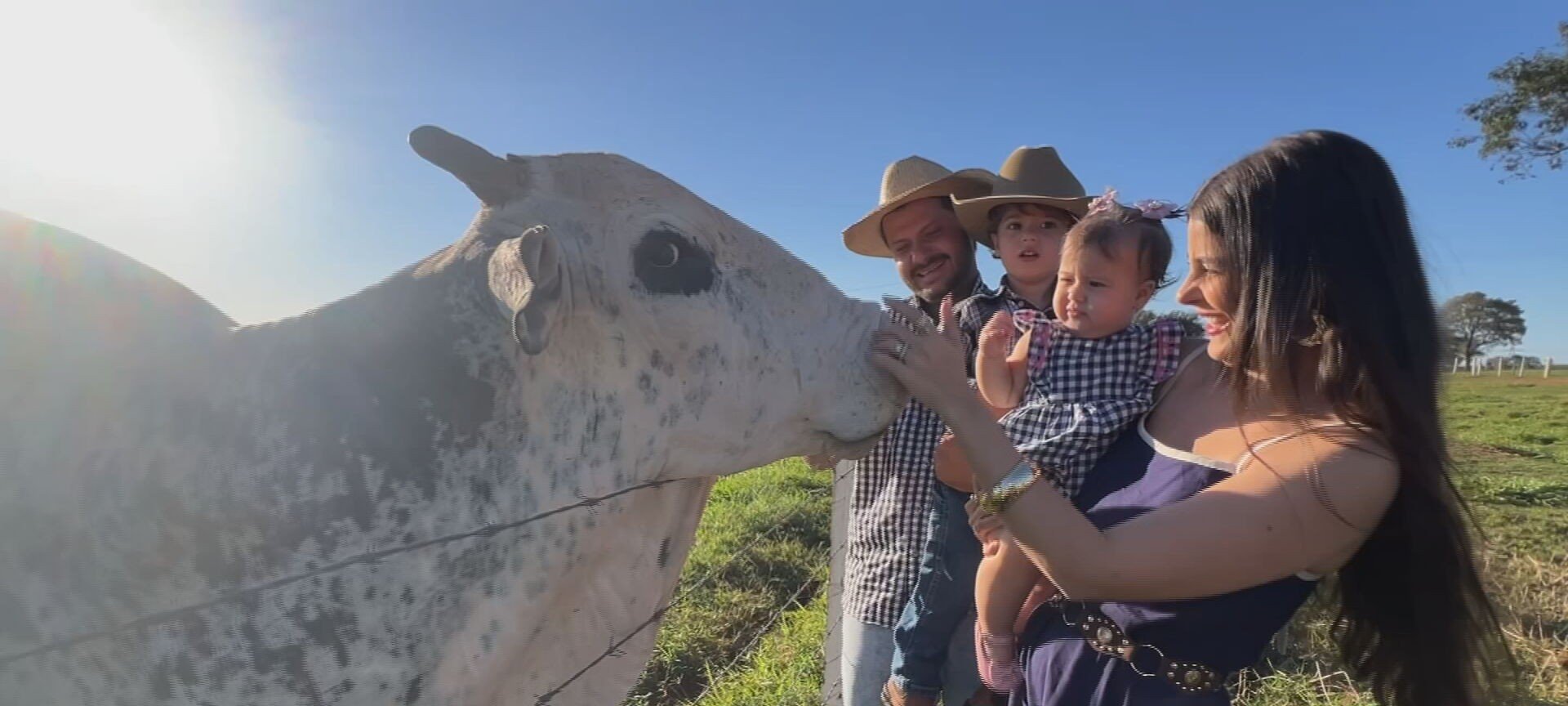 Bovinos influenciadores: vaca Leide e touro Xerife viram hit - Imagem do artigo