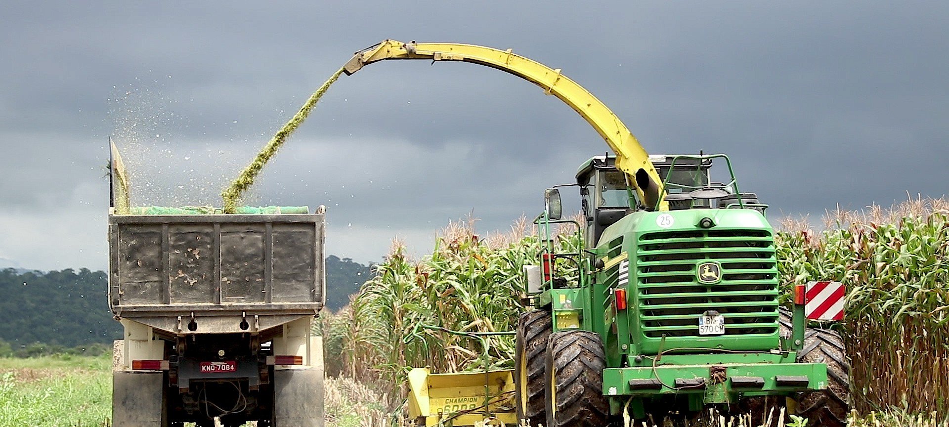 Fertilizantes: setor pede R$ 2 bi em subvenção ao governo - Imagem do artigo