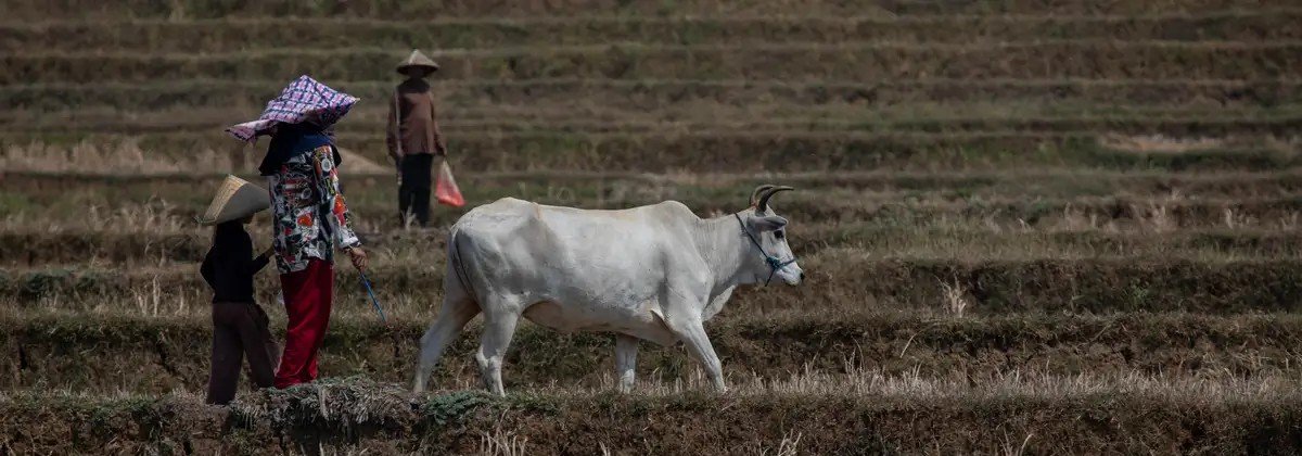 Insegurança alimentar global eleva risco de guerras - Imagem do artigo