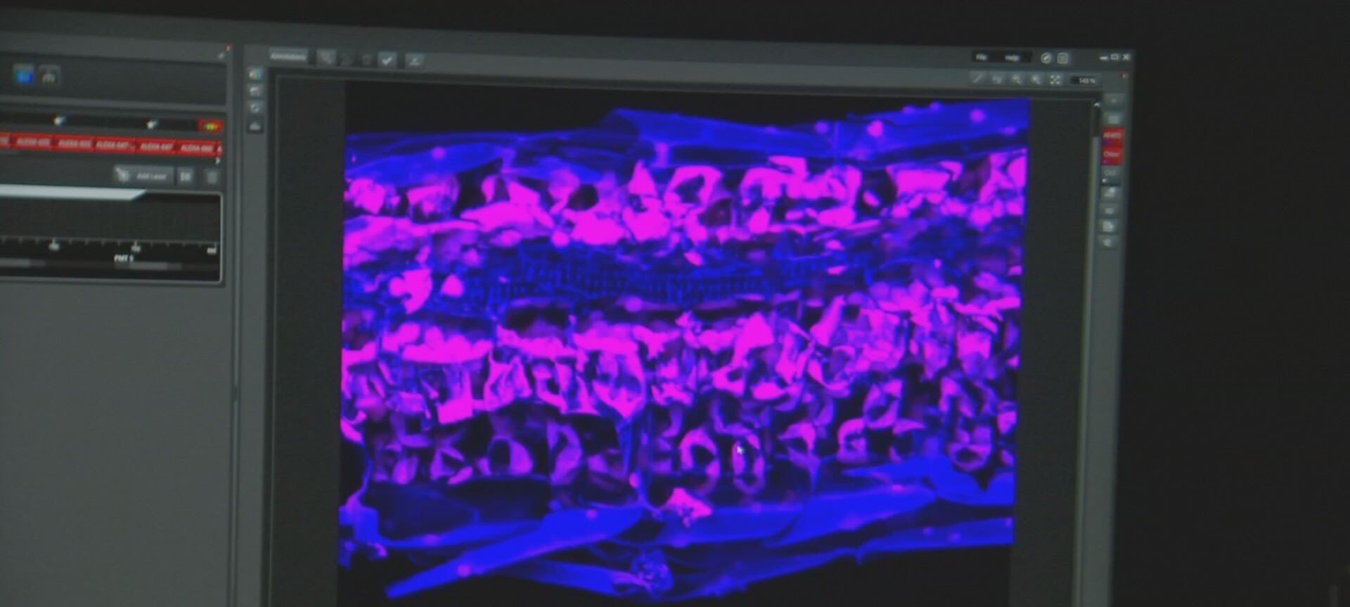 Nano-herbicida de Sorocaba alcança 95% de eficácia rural - Imagem do artigo